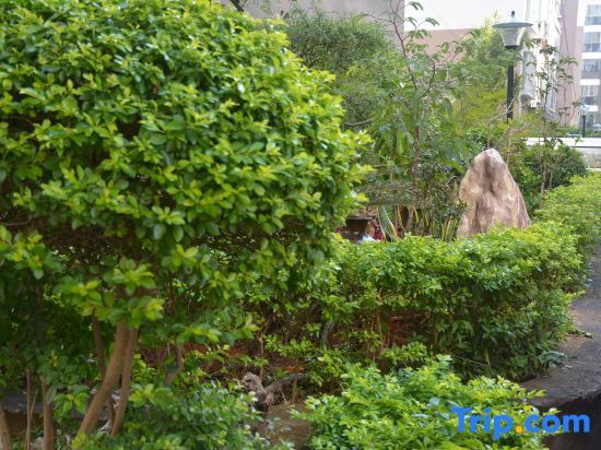 Цзяньшуй: Jianshui zhuwuqing  homestay