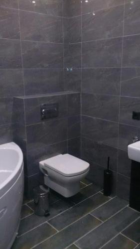 Петрозаводск: Aquamarine Apartment