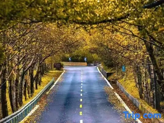 Синьчжоу: Wutaishan Huixinyuan Homestay (Zhenrongsi Branch)