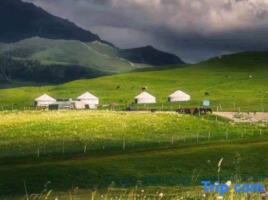 Синьчжоу: Wutaishan Huixinyuan Homestay (Zhenrongsi Branch)
