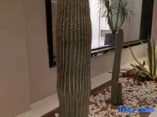 Лакси: Nanping Hotel, Xi'anbo, China (Wuyuan Street)
