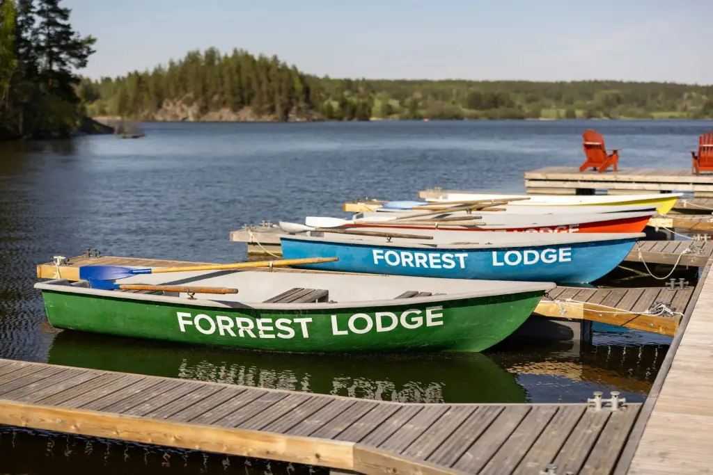 Сортавала: База Отдыха Forrest Lodge Karelia