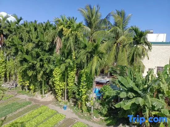 Санья: Yuju Island Homestay