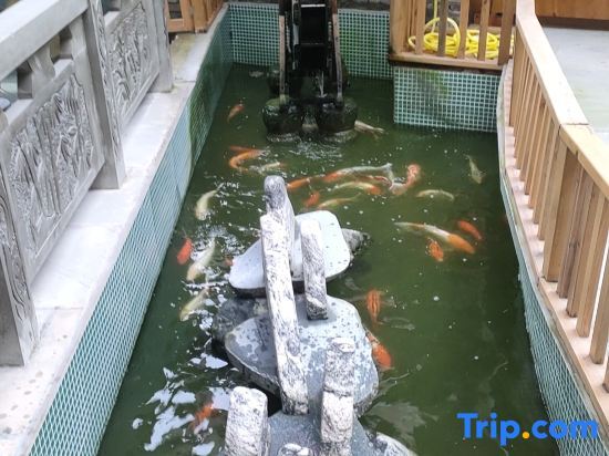 Чэнду: Chongzhou No.37 B&B