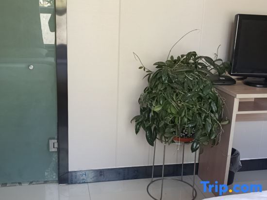 Цинхэчжэнь: New Sida Hotel