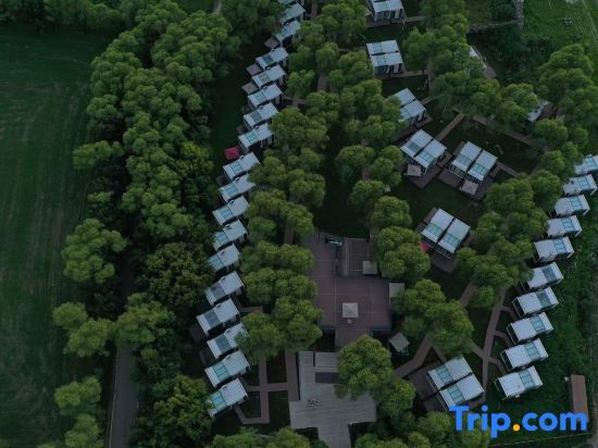 Кюнес: Nalati Muxing Valley Starry Sky Hotel