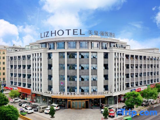 Meihao Lizhi Hotel (Guangzhou Huadu Cultural Tourism City Shiling) — фото 1