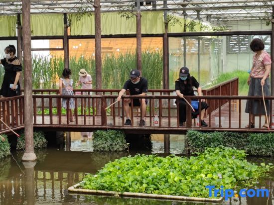 Шанхай: Pastoral Art Museum Art Homestay