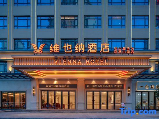 Vienna Hotel (Huawei Europe Town store in Songshan Lake) — фото 1