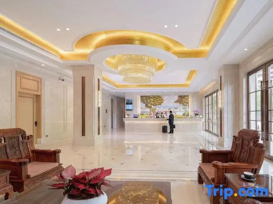 Дунгуань: Vienna Hotel (Huawei Europe Town store in Songshan Lake)