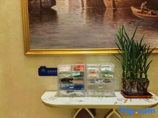 Дунгуань: Vienna Hotel (Huawei Europe Town store in Songshan Lake)