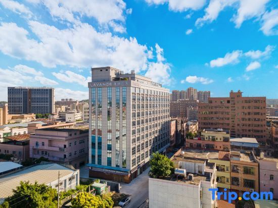 Дунгуань: Lavande Hotel Dongguan Dalang Huawei Songshan Lake Taike Park