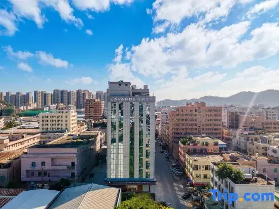 Дунгуань: Lavande Hotel Dongguan Dalang Huawei Songshan Lake Taike Park