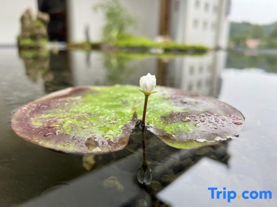 Чичжоу: Xiaozhang Family Literature & Art Homestay