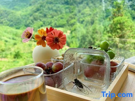 Яань: Yunqi Yougu Private Tang Homestay Ya'an Bifengxia Branch