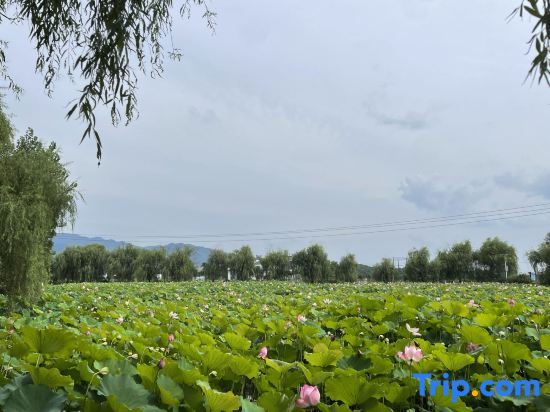 Чэньчжоу: Vienna International Hotel (Zixing New Area)