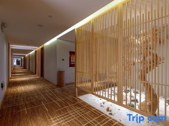 Буркин: Starway Hotel (Burqin Shenhu South Road)