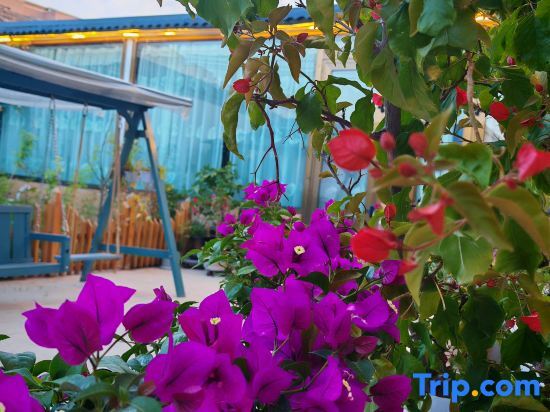 Текес: Turks Yan Geer Homestay