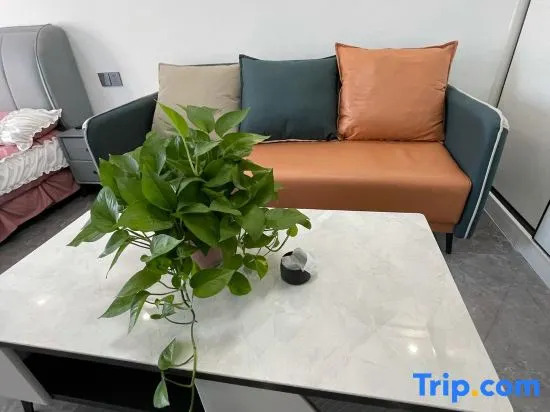 Сюйчжоу: Shiguang Xiaozhan Apartment (Duanjiaxiang Branch)