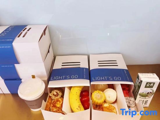 Нанкин: Nanjing Station Hongshan Zoo Light Residence Hotel