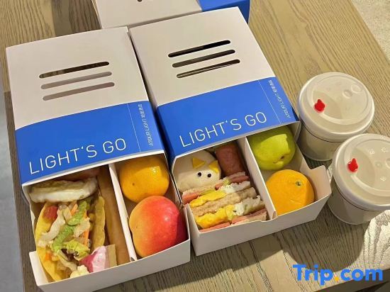 Нанкин: Nanjing Station Hongshan Zoo Light Residence Hotel