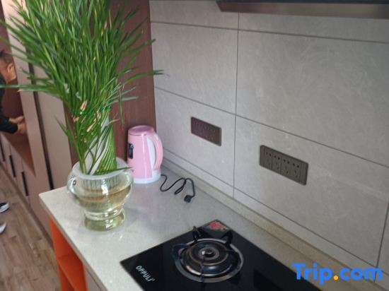 Байан-Нур: Meet the Lulu Zhaoshuai Apartment (Shuiyuan Road Branch)