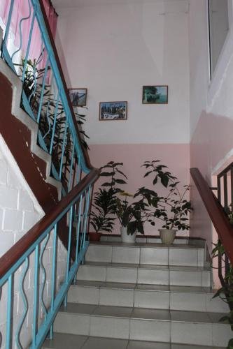 Пудож: Karelonego Inn