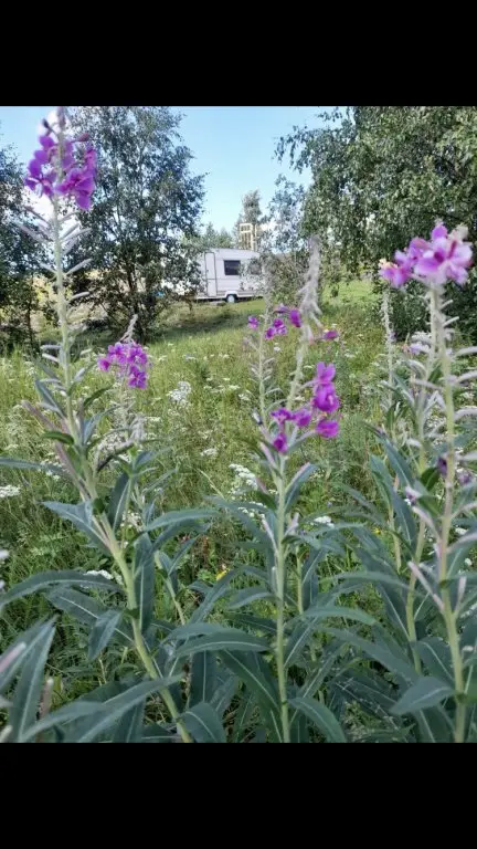 Беломорск: Частный Дом Wheel Home Belomorsk