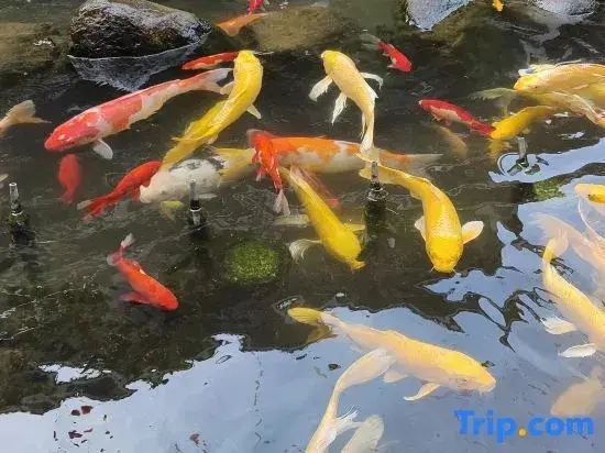 Ляньхуатан: Lianxi Inn
