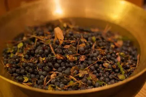 Лахденпохья: Palkoniemi