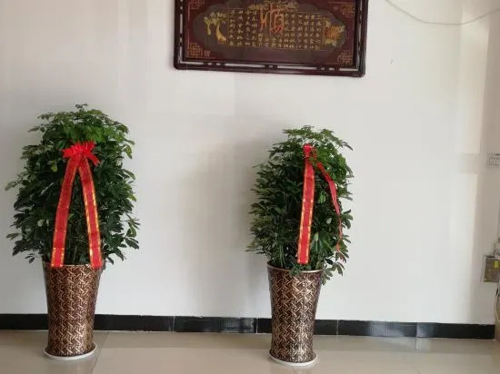 Хуанган: Wuxue Wenmin Business Hotel