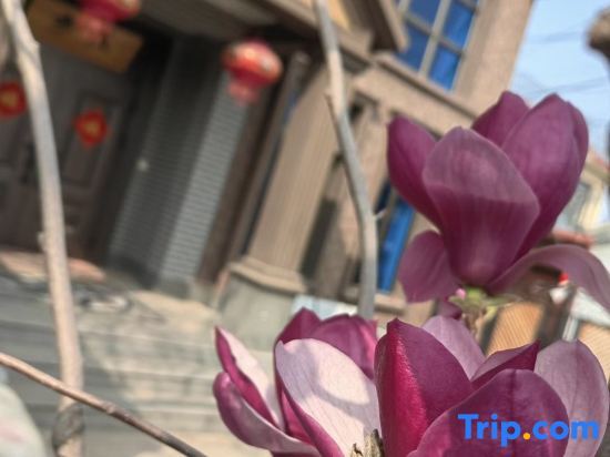 Пекин: Shuianxiangju Boutique Homestay