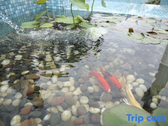 Шанхай: Shanghai Liyuan Jiashe Boutique Homestay