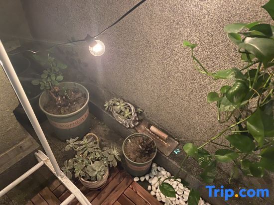 Шанхай: Shanghai Mier Cinema Apartment