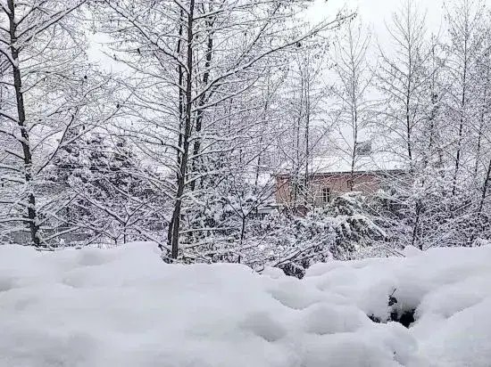 Чэнду: Youyang Meiju Homestay