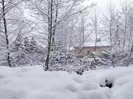 Чэнду: Youyang Meiju Homestay