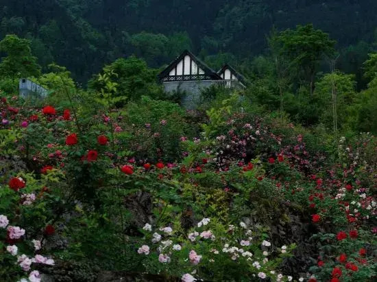 Чэнду: Youyang Meiju Homestay