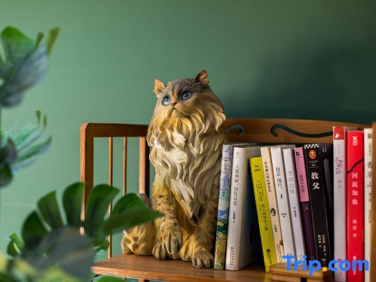 Шанхай: Shanghai Seven Cats Homestay