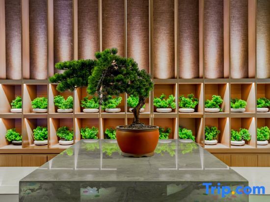Чаоху: MEISU Meisu Hotel (Wuwei Municipal Government Ximen Station)