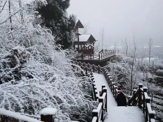 Чэнду: Moxiangyuan Villa