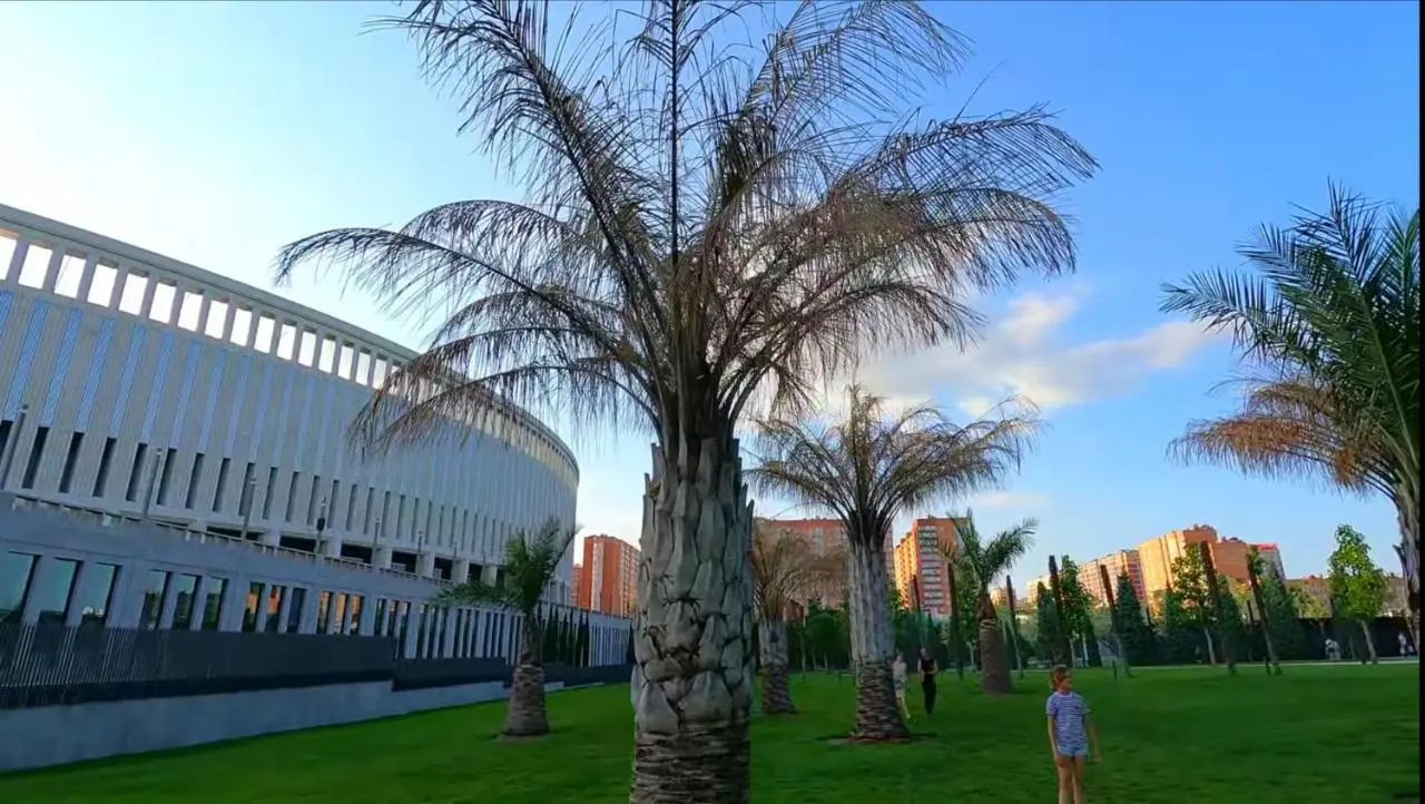 Краснодар: New Stadium Krasnodar Apartment