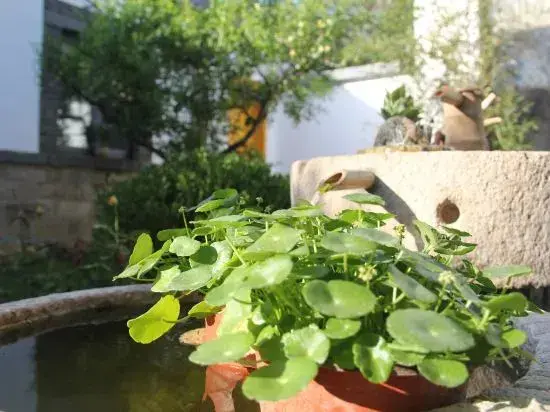 Тайан: Tai'an Qixing Yard B&B (Taishan Huanshan Road Branch)