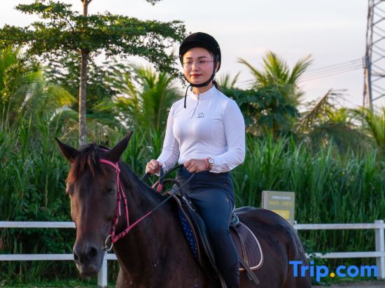 Хайкоу: Dongsu Hotel (Mission Hills Movie Town, Haikou)