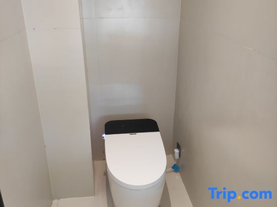 Чунцзо: Chongzuo Daxin County Mingxuan Huazhiyu Homestay