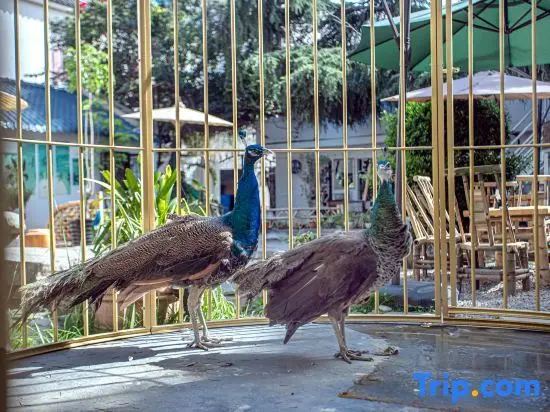 Дали: Dali Cangyulou Homestay (Bohai Branch)