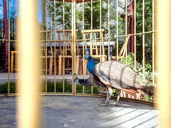 Дали: Dali Cangyulou Homestay (Bohai Branch)