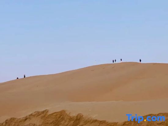 Чжунвэй: Zhongwei Moshang Fanxing Desert Star Watching Homestay