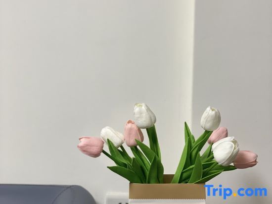 Чжухай: Zhuhai Longhai Mushe Homestay