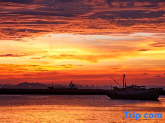 Чжухай: Zhuhai Longhai Mushe Homestay