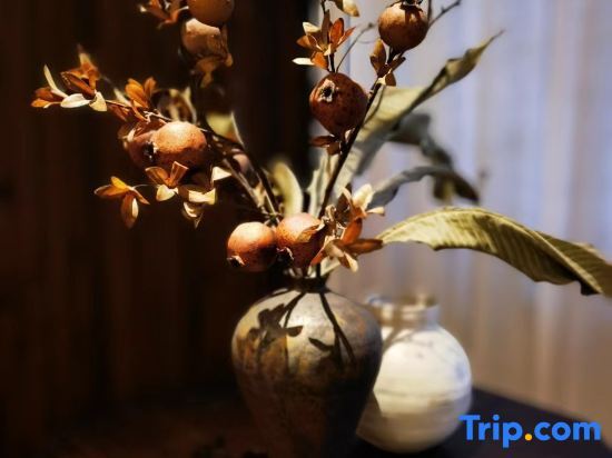 Чандэ: Changde ligao 1919 Lakeside Hotel (Daxiaohe Street)